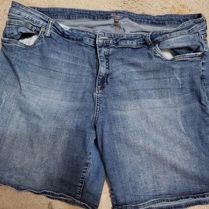 Size 24 kut from the kloth shorts